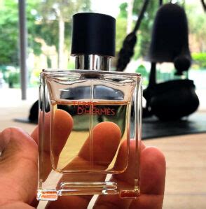 zara terre d hermes|Colognes Similar To Terre d'Hermes Parfum [Top 8 Dupes].